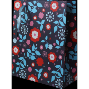 BOLSA CARTON 26X32X12 WK-A-396 300/1 PZ