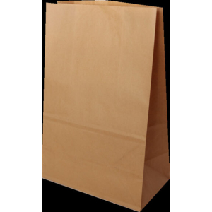 BOLSA DE PAPEL KRAFT 20 X 29 CM 10 PZ